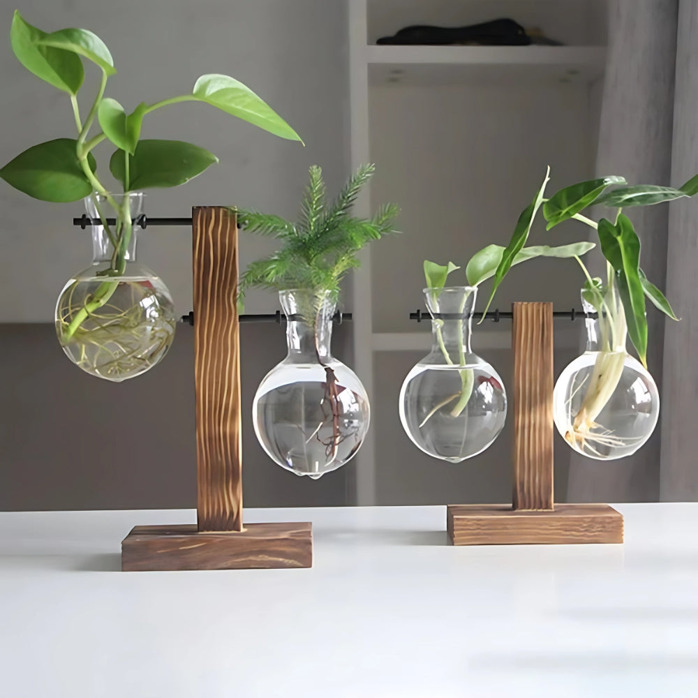 Modern Glass Bulb Vase with Wooden Stand for Hydroponic Plants