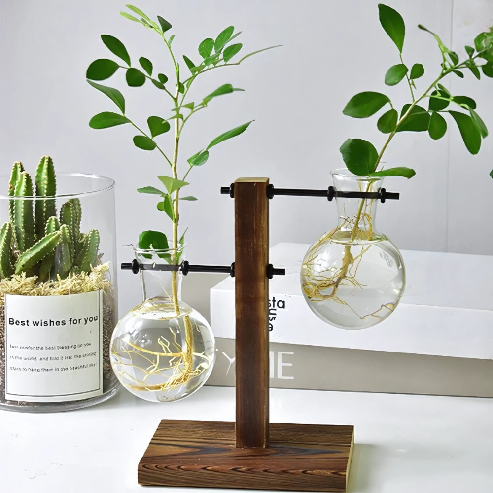 Modern Glass Bulb Vase with Wooden Stand for Hydroponic Plants