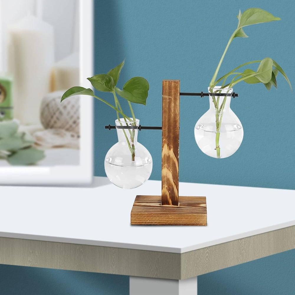 Modern Glass Bulb Vase with Wooden Stand for Hydroponic Plants