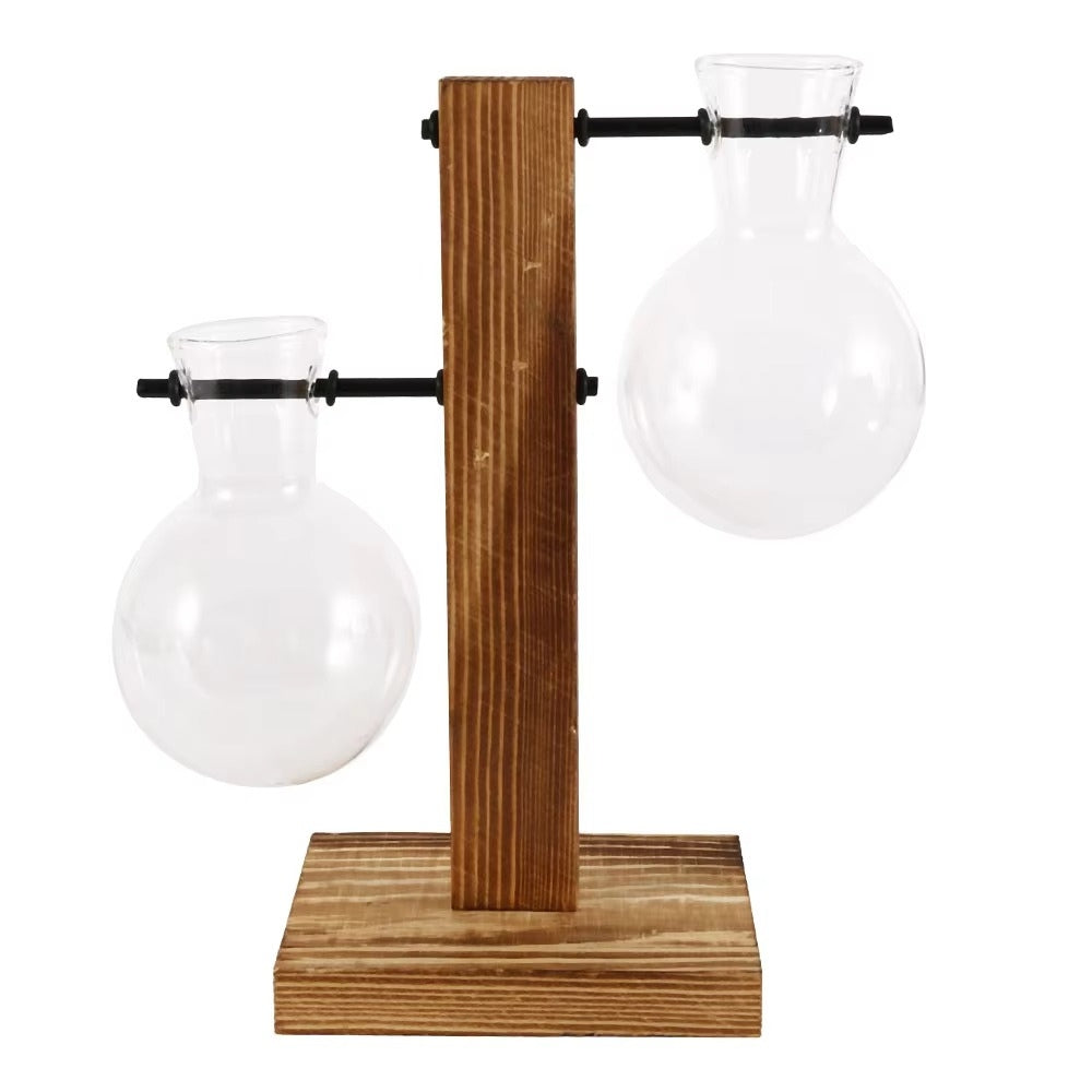 Modern Glass Bulb Vase with Wooden Stand for Hydroponic Plants