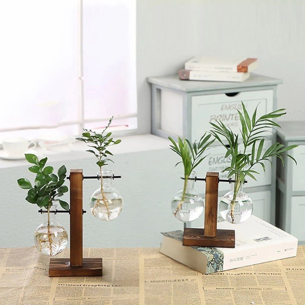Modern Glass Bulb Vase with Wooden Stand for Hydroponic Plants
