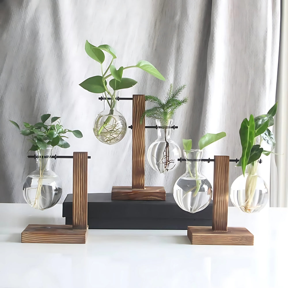 Modern Glass Bulb Vase with Wooden Stand for Hydroponic Plants