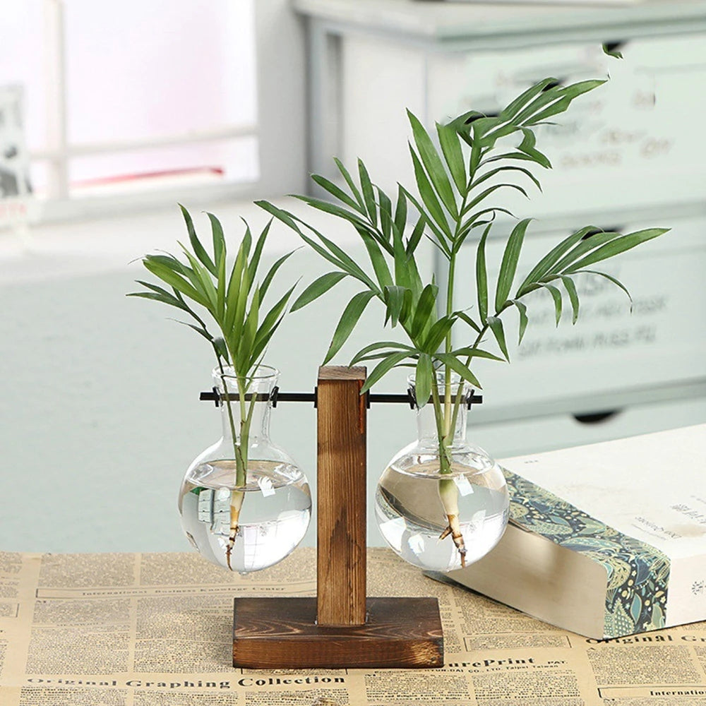 Modern Glass Bulb Vase with Wooden Stand for Hydroponic Plants