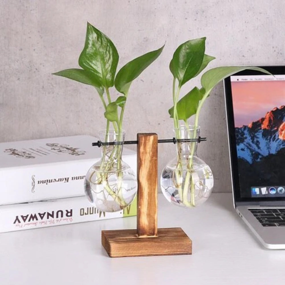 Modern Glass Bulb Vase with Wooden Stand for Hydroponic Plants