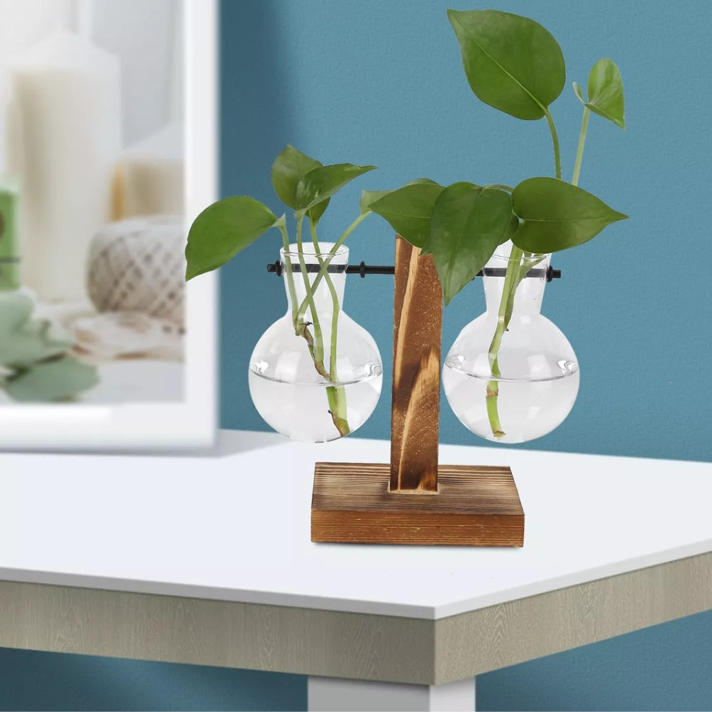 Modern Glass Bulb Vase with Wooden Stand for Hydroponic Plants